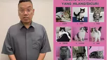 Uya Kuya Bongkar Fakta Kucingnya yang Disebut Kurus Tak Terawat