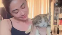 Terpopuler: Kucing Eko Patrio hingga Uang Korupsi Rp 4,875 Miliar