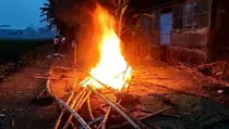 Arena Sabung Ayam Digerebek di Mojokerto, 5 Penjudi Ditangkap