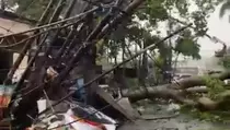 Hujan Disertai Angin Kencang Terjang Tangsel, Pohon dan Baliho Roboh
