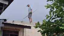 Hujan dan Angin Kencang di Depok, Pohon Tumbang dan 6 Rumah Rusak
