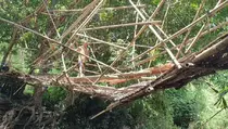 Jembatan Bambu Pangandaran Nyaris Ambruk, Warga Nekat Seberangi Sungai