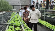Wamentan Ungkap Peran Strategis Pertanian dalam Ekonomi Karbon