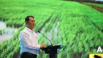 Mentan Amran Cabut Izin 2.039 Kios dan Distributor Pupuk Nakal