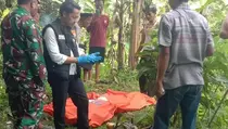 Diduga Tersengat Kawat Listrik, Pemburu Kodok Tewas di Pandeglang