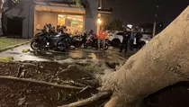 Angin Kencang Tumbangkan Pohon dan Timpa Tembok Restoran di Depok