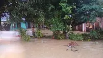 Aceh Selatan Dilanda Banjir, 11 Desa di 2 Kecamatan Terendam
