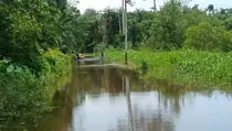 Banjir Terjang Aceh Barat, 1.003 Orang Terdampak