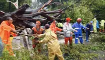 Pohon Tumbang di Dharmawangsa Sebabkan Kemacetan Parah