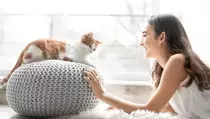 Peneliti Temukan Infeksi Jamur Menular lewat Kucing