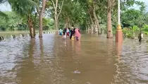 Sungai Citanduy Meluap, Ratusan Rumah di Pangandaran Terendam Banjir