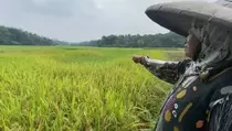 BI: Sektor Pertanian Jadi Penopang Ekonomi RI