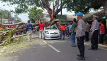 Pohon Tumbang di Ciputat Timpa Mobil Berisi Ibu dan Anak