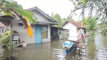 Banjir Pangandaran Meluas, Ratusan Rumah Warga Terendam