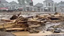 Rieke Diah Pitaloka: Usut Tuntas Ilegal Logging di Sumatera!