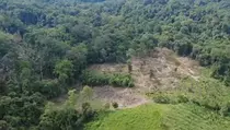 Deforestasi Meluas, Kaltim Terancam Banjir Dahsyat seperti di Sumatera