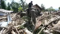 Jatam Desak Revisi UU Cipta Kerja dan Minerba