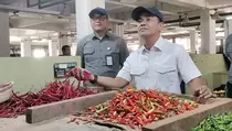 Bapanas Sebut Cuaca Penyebab Harga Cabai Rawit Mahal