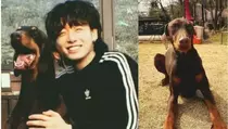 Heboh Jungkook ‘BTS’ Diduga Telantarkan Anjing Peliharaannya