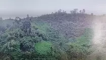 Banjir Bandang Probolinggo Diduga Dampak Penebangan Kayu di Argopuro