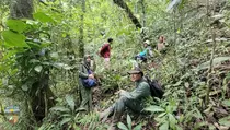 Mengenal Polisi Hutan, Benteng Terakhir dari Ancaman Bencana Ekologis