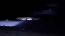 Viral Buaya Bermata Menyala Gegerkan Pantai Watu Leter Malang