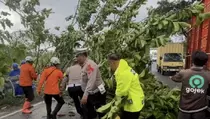 Mudik Nataru Terganggu, Pohon Tumbang Tutup Jalur Limbangan Garut