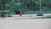Lahan Pertanian Samas Banjir, Petani Bantul Terancam Gagal Panen