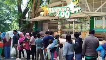 Pemkot Tegaskan Bandung Zoo Belum Dibuka Umum Selama Libur Tahun Baru
