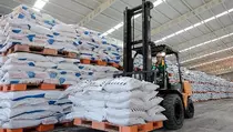 Pemkab Ngawi Pastikan Stok Pupuk Subsidi Aman di Tengah Gejolak Global