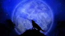 Mengenal Wolf Moon, Bulan Purnama Awal Tahun yang Istimewa