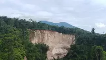 Longsor 120 Meter Terjadi di Ngarai Sianok Agam dan Rusak Sawah Warga