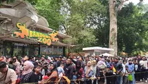 Hari Terakhir Libur Panjang, Bandung Zoo Diserbu Pengunjung