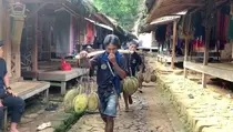 Libur Panjang Nataru Tak Dongkrak Wisata Baduy, Kunjungan Turun