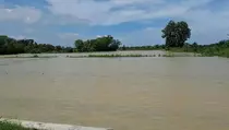 PKB Desak Langkah Darurat Atasi Dampak Banjir di Lumbung Pangan
