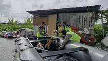Kisah Polisi Terjang Banjir Selamatkan 7 Kucing Pengungsi di Kudus