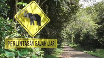 Way Kambas Jadi Proyek Percontohan Pembiayaan Iklim