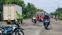 Geram Jalan Nasional Rusak, Warga Ngawi Tanam Pohon Pisang
