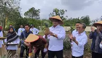 Pemerintah Dorong Hilirisasi Nanas Moris di Pekanbaru