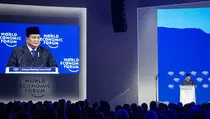 Kala Danantara Jadi Ujung Tombak Tarik Investor di WEF Davos