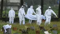 Memahami Virus Nipah yang Kembali Jadi Perhatian Kesehatan Global
