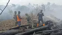 Kebakaran Hutan dan Lahan 58,7 Hektare di Aceh Barat Sudah Padam