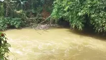 Gudang Pestisida Terbakar, Air Sungai Cisadane Diuji Lab
