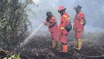 3 Hektare Lahan Gambut di Kampar Terbakar, Sumber Air Sulit
