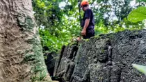Pemkab Kumpulkan Data Temuan Situs Diduga Candi Abad Ke-10 di Ngawi