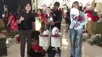 Uniknya Pesta Ultah Supermewah Anjing Bertemakan Imlek di Surabaya