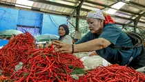 Kementan Gandeng Asosiasi Cabai Stabilkan Harga Jelang Lebaran