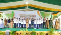 Panen Raya Hasil Padi Kalium Humat, Bukti Hilirisasi Batu Bara Dukung Ketahanan Pangan Nasional