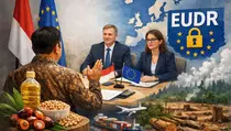 RI Wajib Perkuat Diplomasi Global Hadapi Dampak EUDR