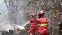 Kebakaran Hutan di Bengkalis Meluas, 112 Hektare Lahan Terbakar
